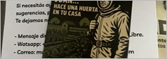 Huerta en cantero elevado con tomateras tutoradas